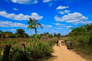 Everyday life and scenery on Don Khon Island, which forms part of the Four Thousand Islands and is known locally as Si Phan Don.