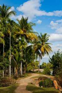 Everyday life and scenery on Don Det Island, which forms part of the Four Thousand Islands and is known locally as Si Phan Don.