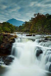 The serene Tad Lo waterfall surrounded by lush vegetation, located in the Bolaven Plateau which was named after the Laven ethnic group which has historically dominated the region.