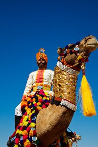 Men wearing ceremonial clothing and riding colourfully decorated camels during the annual Jaisalmer Desert Festival, a showcase of Rajasthani folk culture and arts.
