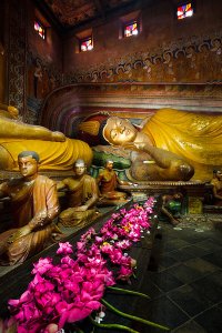 Large reclining Buddha statue inside the main image house of the late nineteenth century Wewurukannala Vihara Temple, surrounded by smaller seated statues, located in the town of Dikwella.