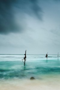 Fishermen catching small reef fish by sitting on small benches attached to poles which are stuck into the water a few meters offshore, known locally as stilt fishing.