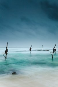 Fishermen catching small reef fish by sitting on small benches attached to poles which are stuck into the water a few meters offshore, known locally as stilt fishing.