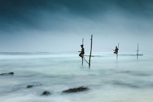 Fishermen catching small reef fish by sitting on small benches attached to poles which are stuck into the water a few meters offshore, known locally as stilt fishing.