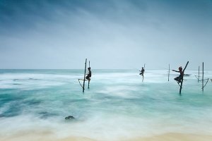 Fishermen catching small reef fish by sitting on small benches attached to poles which are stuck into the water a few meters offshore, known locally as stilt fishing.
