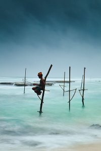 Fishermen catching small reef fish by sitting on small benches attached to poles which are stuck into the water a few meters offshore, known locally as stilt fishing.