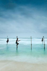 Fishermen catching small reef fish by sitting on small benches attached to poles which are stuck into the water a few meters offshore, known locally as stilt fishing.