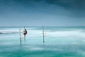 Fishermen catching small reef fish by sitting on small benches attached to poles which are stuck into the water a few meters offshore, known locally as stilt fishing.