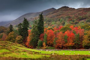 Autumn in Rydal Village, located within the English Lake District National Park.