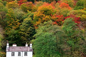 Traditional Lakeland houses as seen during Autumn in Rydal Village, located within the English Lake District National Park.