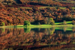 Autumn in Coniston, located within the English Lake District National Park.